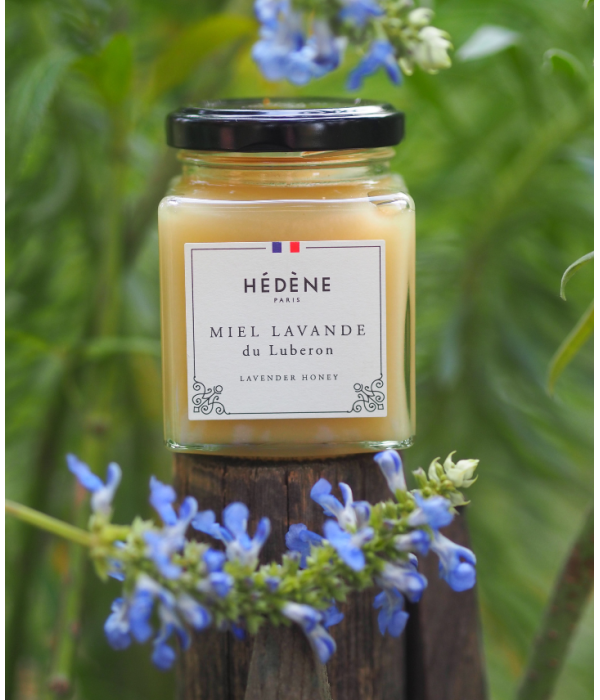 Glas med Hédéne lavendel honning, mellem lavendel busk, Frankrig