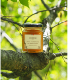 Glas med Hédéne  Havtorn honning,  Bourdaine de Gironde,  mellem grene,  Frankrig