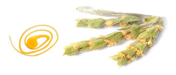 foto af honing klat med tørred blomster